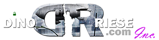 Dino Riese Web Design, Hosting, & SEO, Manhattan, NYC, New York City, Queens, Long Island, Brooklyn, NY | 516.286.3583 | Logo